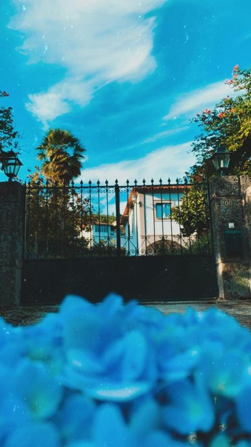 The River House - Termas Guesthouse テルマス・デ・サン・ペードロ・ド・スル エクステリア 写真