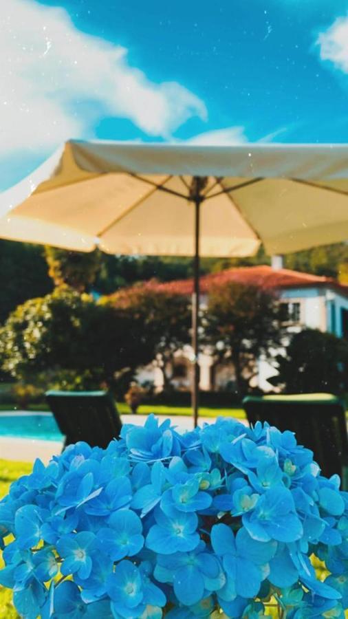 The River House - Termas Guesthouse テルマス・デ・サン・ペードロ・ド・スル エクステリア 写真